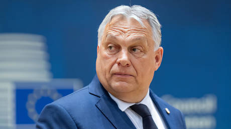 НАТО «в одном шаге» от отправки войск в Украину – Орбан