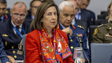 Испания против войск НАТО в Украине – министр оборон