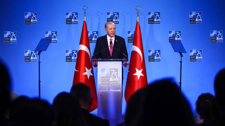 Эрдоган учит своих союзников по НАТО неприятным истинам