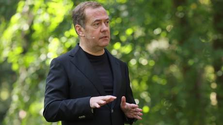 Medvedev explains why Kiev and West want Donbass — RT Russia & Former Soviet Union