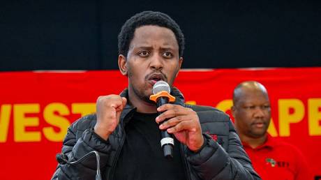 EFF и DA бросают вызов АНК: бюджетный процесс под судом