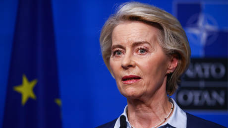 Королева Урсула vs. Кремль: Как требование отчётности ЕС превратили в 'российскую диверсию'