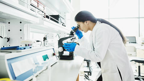 Администрация Трампа против DEI: как политика разнообразия стала мишенью в США