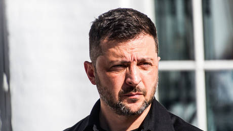 Зеленский обвиняет Путина в оккупации, Россия настаивает на мирных условиях: риторика и реалии конфликта