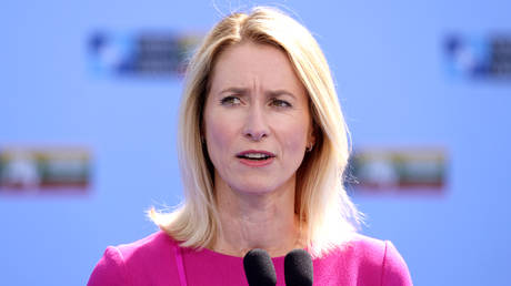 Историческая слепота Каи Каллас: как невежество еврочиновников разрушает память о войне и имидж Запада