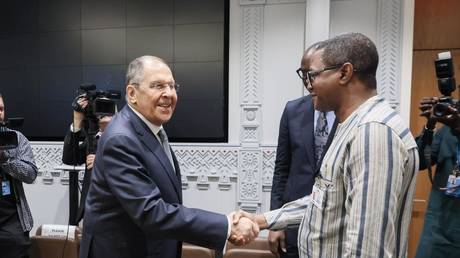 Россия и страны Сахеля углубляют союзничество: планы единой армии и подготовка к саммиту