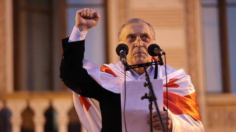 Опера и оппозиция: В Грузии задержаны организаторы протестов с призывами к штурму власти