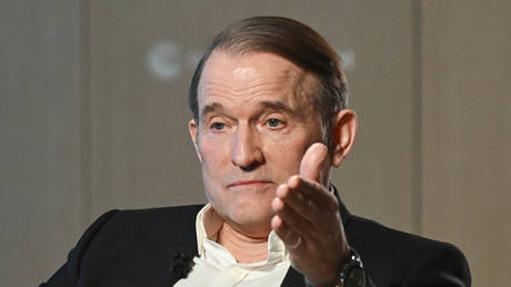 Медведчук: «Мирный план» Зеленского — это ловушка для России