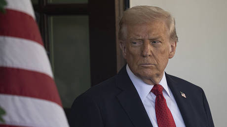 Трамп пригрозил военной операцией в Нигерии, обвинив в «массовой резне» христиан