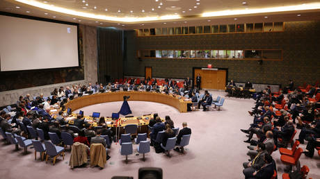 Резолюция ООН по Западной Сахаре расколола Совет Безопасности