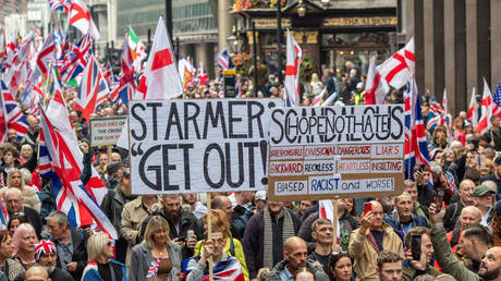 Под предлогом безопасности: в Великобритании предлагают сажать в тюрьму за пикеты у домов парламентариев