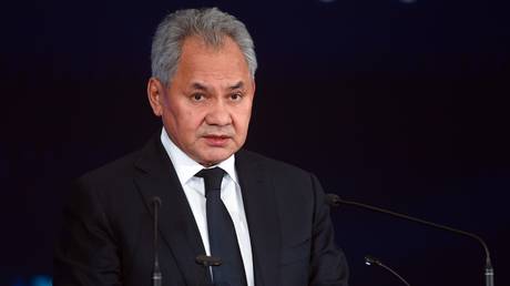 Шойгу о визовых ограничениях ЕС: «Возможно, в зону исключения прав человека и правда нужен спецпропуск»