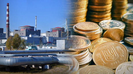 Украинский депутат заявил о многомиллионных хищениях для Запорожской АЭС после перехода под контроль России