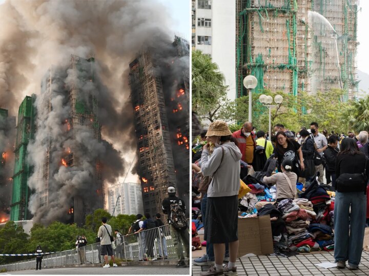 Чудо на поводке: как преданный пес спас хозяина от смертельного огня в Гонконге