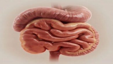 Системный подход к сохранению функций желудка