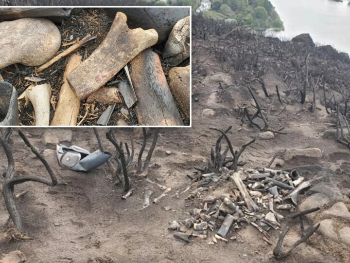 Тайна пепла: после пожара у Трона Короля Артура найдена загадочная коллекция костей