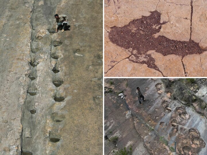 Следы ведут в прошлое: В Боливии обнаружена «супермагистраль» динозавров с мировым рекордом отпечатков