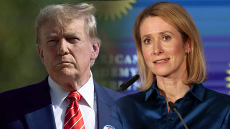 Европа отвечает на критику США: «Мы свободны и не нуждаемся в указаниях»