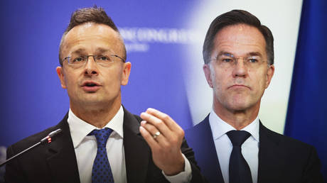 Будапешт против Брюсселя: глава МИД Венгрии осудил воинственные заявления Рютте