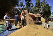 Индия твердо стоит на своем: нет открытия рынка для американских сельскохозяйственных продуктов