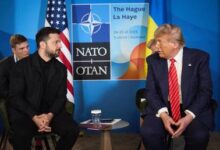 Зеленский намекнул на смерть Трампа как условие для вступления Украины в НАТО