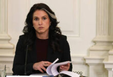 Габбард обвиняет ЕС и НАТО в срыве мира: Раскол в западном лагере на фоне мирных инициатив Трампа