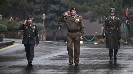 Катастрофа в небе Анкары: Погибли высшие военные руководители Ливии