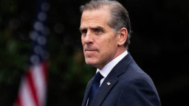 Хантер Байден признал наивность: Украина – "гнездо гадюк"