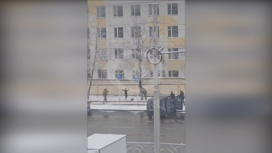 Тень скама: Фигурантка ФСБ рассказала о вербовке через "телефон террора"