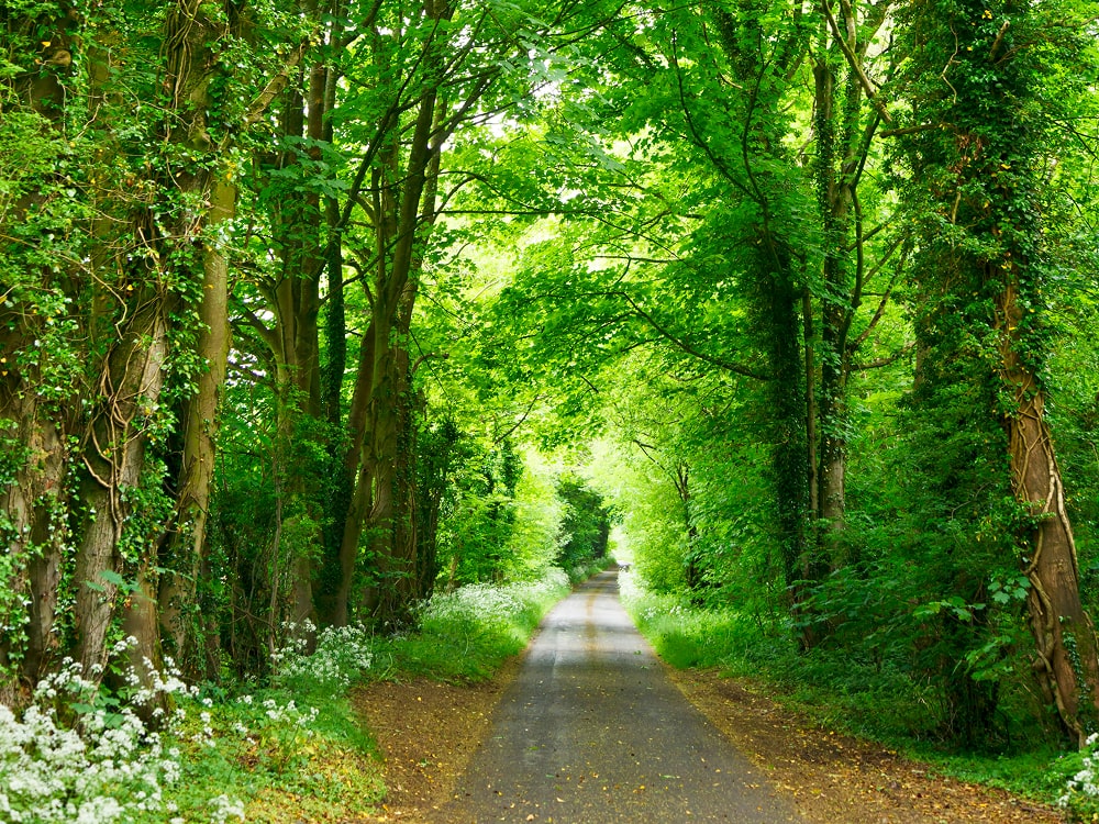 Thrilling Finish as Underdogs Secure Last-Minute Victory Rectangle 304 Min