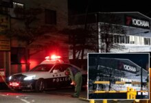 ТРАГЕДИЯ НА ШИННОМ ЗАВОДЕ: Массовое нападение в Японии с применением ножа и химикатов