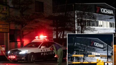 ТРАГЕДИЯ НА ШИННОМ ЗАВОДЕ: Массовое нападение в Японии с применением ножа и химикатов