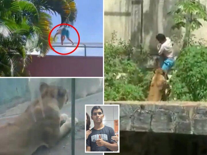 Роковая мечта: подросток с шизофренией погиб в вольере со львицей в бразильском зоопарке