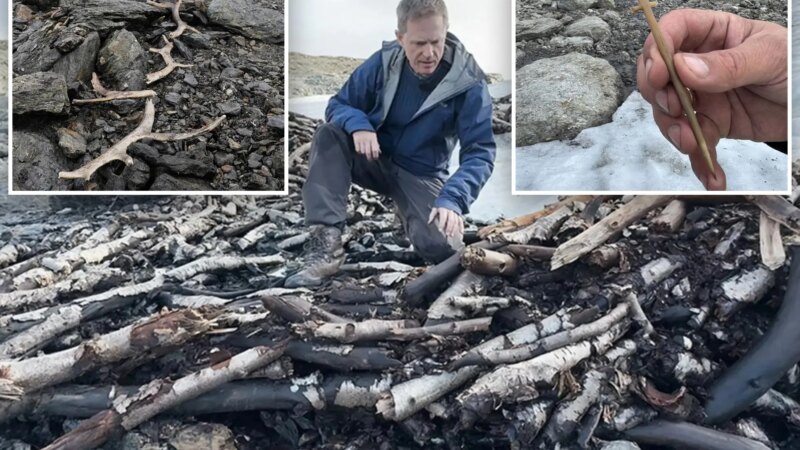 Древняя ловушка для оленей и оружие вновь появились в Норвегии