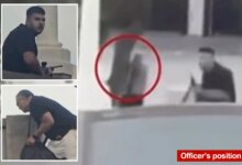 Герой, остановивший террориста на пляже Бонди