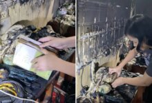 Чудесное спасение: Библия семьи осталась невредимой после разрушительного пожара