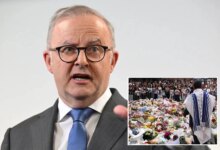 Сдержанный ответ Альбанезе: Почему власти Австралии избегают масштабного расследования теракта в Бонди