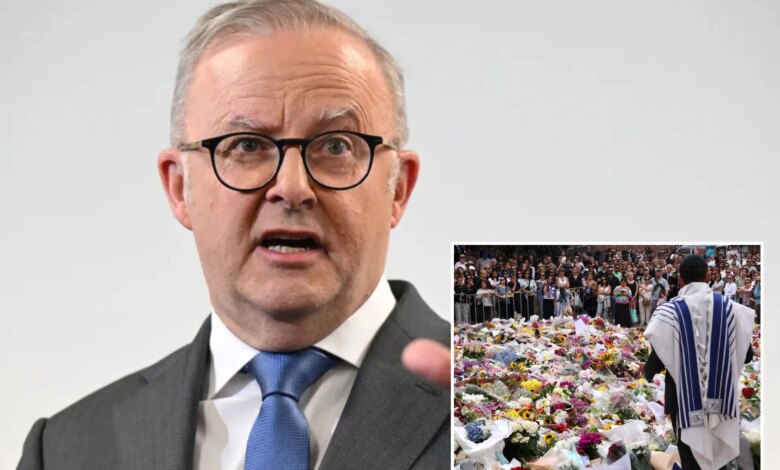 Сдержанный ответ Альбанезе: Почему власти Австралии избегают масштабного расследования теракта в Бонди