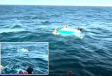 Рождественское Чудо в Заливе: Море Наказало Легкомыслие