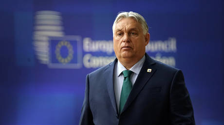 Венгрия обвиняет Украину в попытке вмешаться в парламентские выборы