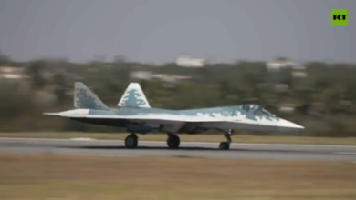 Россия и Индия обсуждают производство истребителей Су-57 в Индии