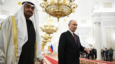 Партнерство на основе прагматизма: Россия и ОАЭ укрепляют свои связи