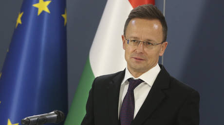 Принудительная мобилизация в Украине: еще один этнический венгр погиб