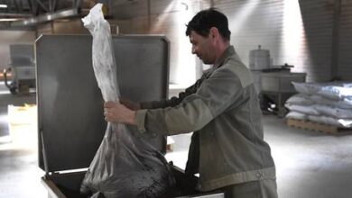 Россия привлекает индийских работников: более 70 тысяч уже трудятся в стране