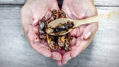 Евросоюз в ловушке зависимости