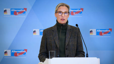 Германия стала опасно зависимой от американского газа