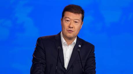 Чешский политик выступает против упрощения процедуры получения долгосрочных разрешений на проживание для украинцев