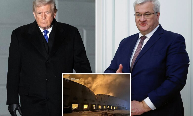 Только Трамп может остановить войну: Украина призывает к мирным переговорам