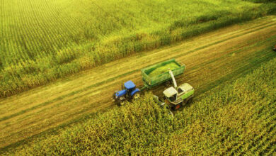 Россия обогнала Запад: половина новых долларовых миллиардеров заработала состояние на производстве продуктов питания