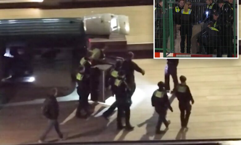 Волк напал на женщину в центре Гамбурга: первый случай за три десятилетия